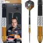 Preview: Bull's - Dirk van Duijvenbode CP - 95% - Steeltip