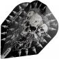 Preview: Shot - Gnarly Skulls