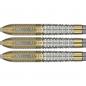 Preview: Raymond van Barneveld - Chrono - 95% - Steeltip