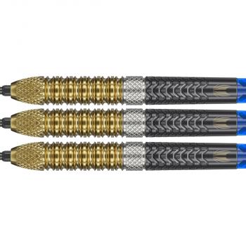 Target - Raymond van Barneveld G6 - 95% - Steeltip