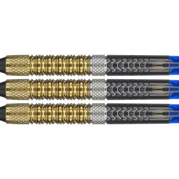 Target - Raymond van Barneveld G6 - 95% - Softtip