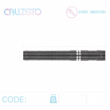 Preview: Winmau - CALLISTO 01 - 90% - Softtip
