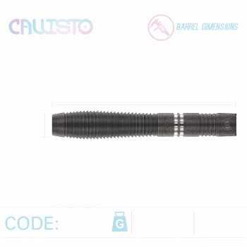 Preview: Winmau - CALLISTO 02 - 90% - Softtip