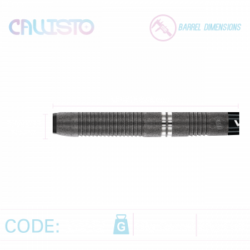 Preview: Winmau - CALLISTO 03 - 90% - Softtip