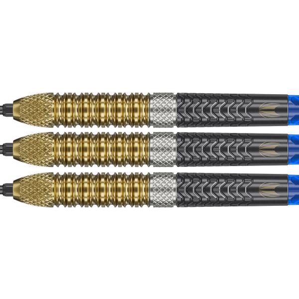 Target - Raymond van Barneveld G6 - 95% - Steeltip