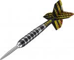 Dimitri Van den Bergh - Swiss - 80% - Steeltip
